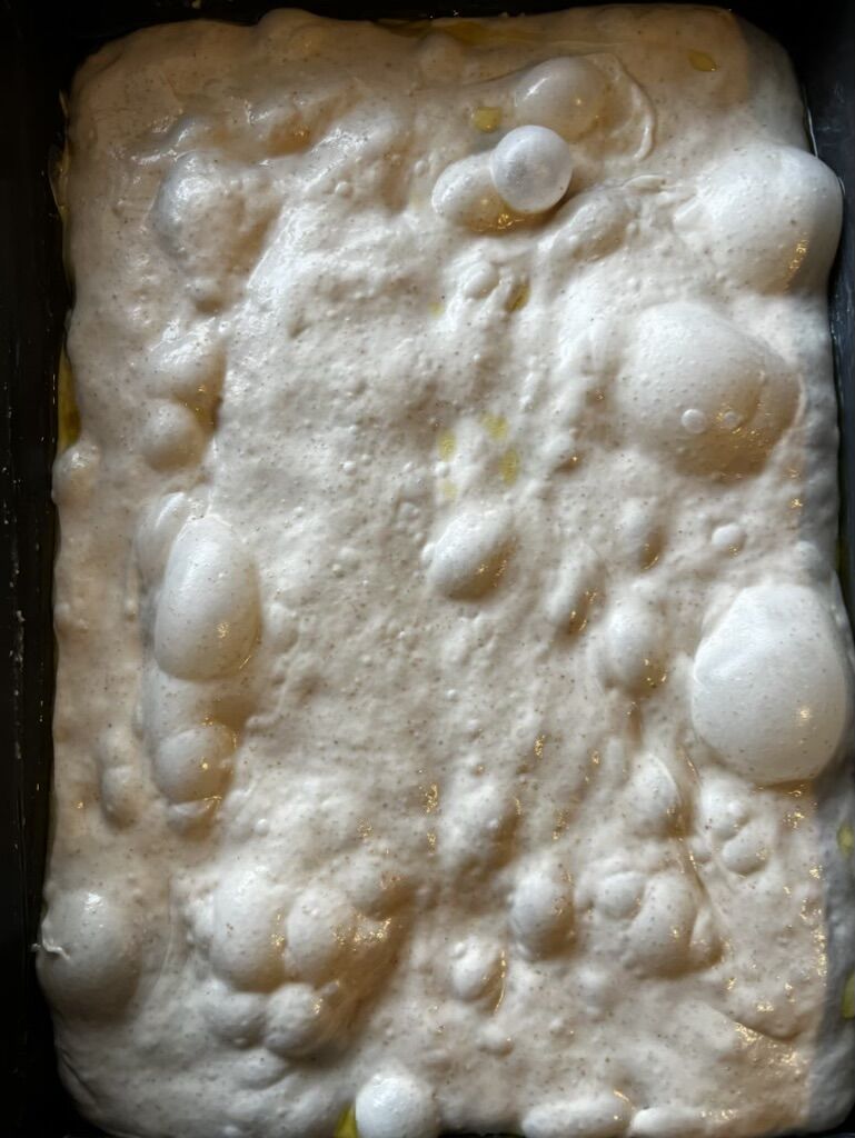 Close-up of sourdough pizza dough bubbles showing fermentation craft